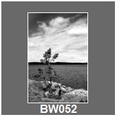 BW052