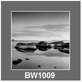 BW1009