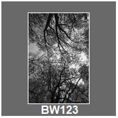 BW123