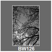 BW126