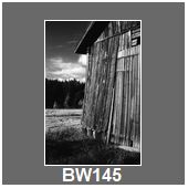 BW145