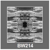 BW214