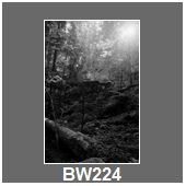 BW224
