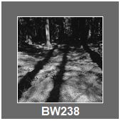 BW238