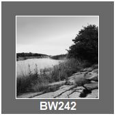 BW242