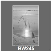 BW245