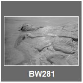 BW281