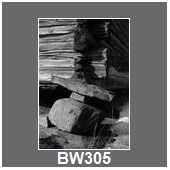 BW305