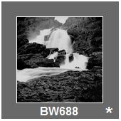 BW688
