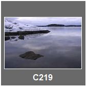 C219
