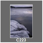 C223