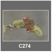 C274