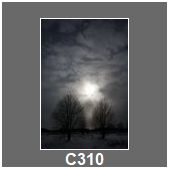 C310