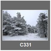 C331