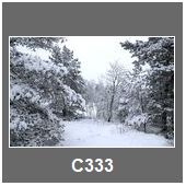 C333