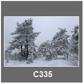 C335