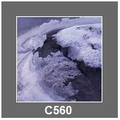 C560