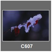 C607