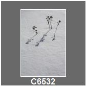 C6532