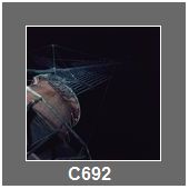 C692