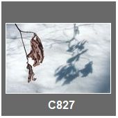 C827