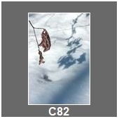 C82