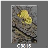 C8815