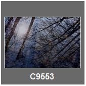 C9553